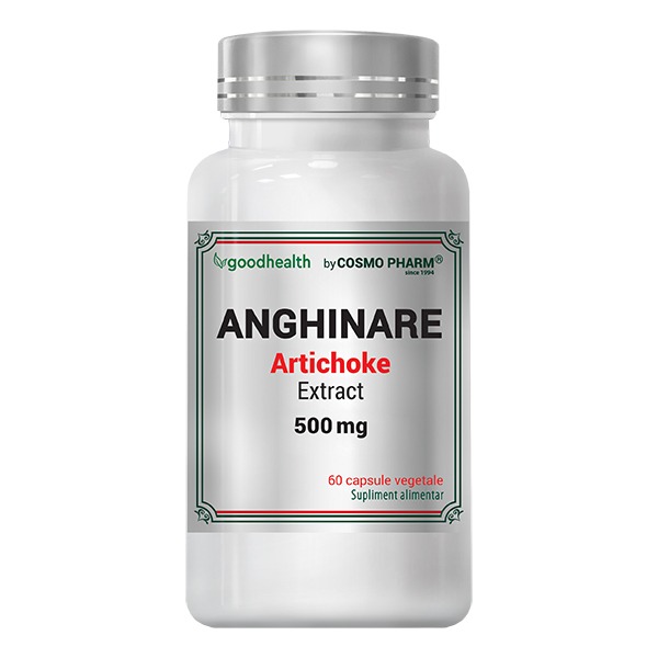ARTICHOKE EXTRACT 500mg 60 cps
