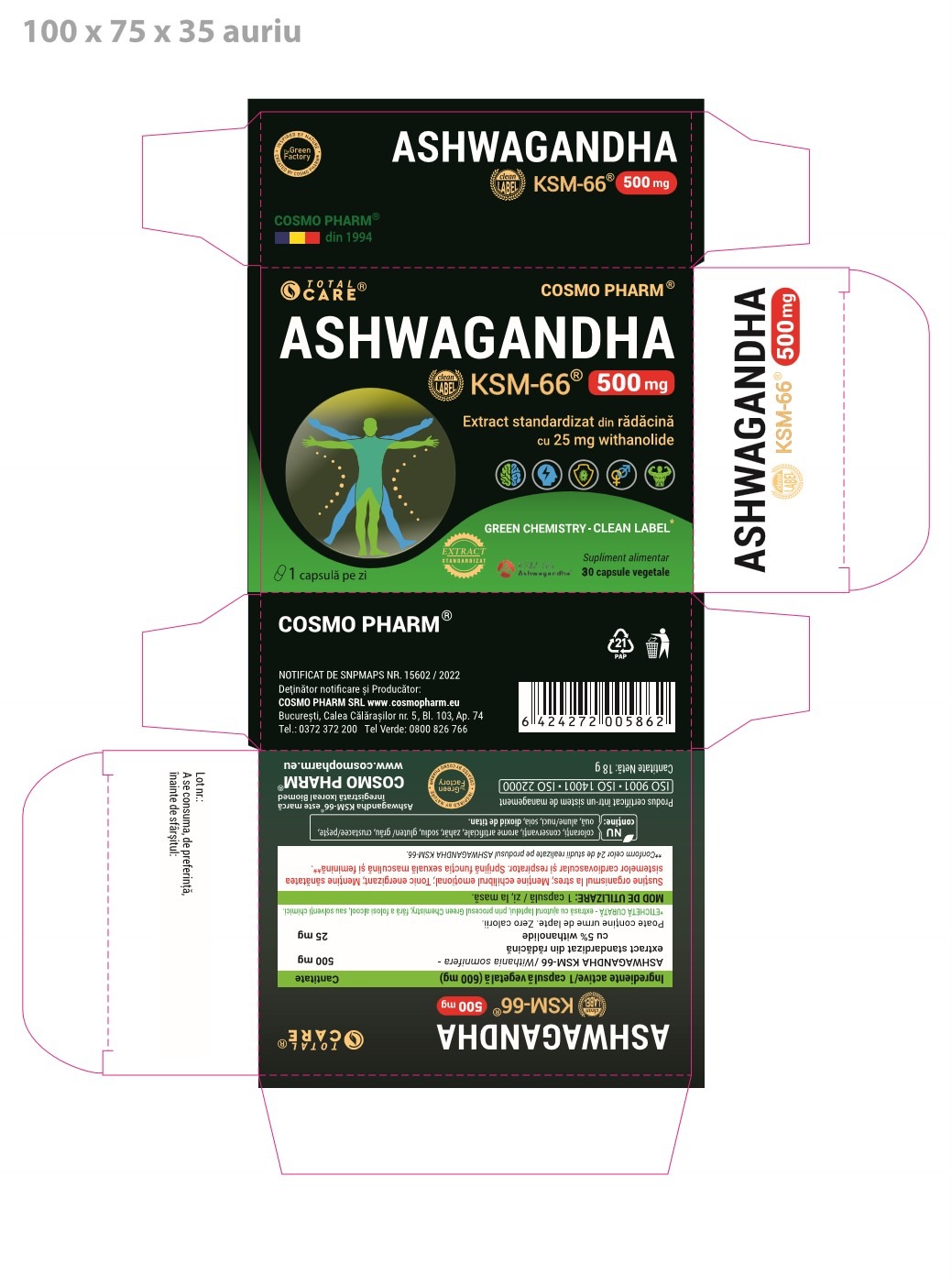 ASHWAGANDHA KSM-66 - Natural energizer with anti-stress, anxiolytic and anti-aging effect - Image 2