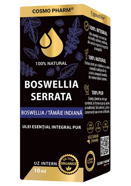 BOSWELLIA SERRATA: Indian Frankincense Essential Oil - Image 3