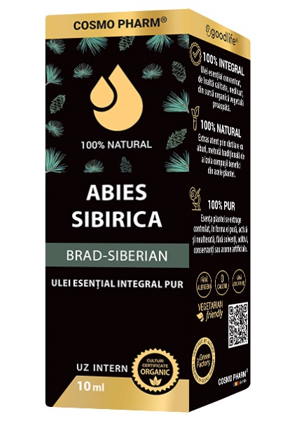 SIBERIAN FIRE essential oil - <em>Abies siberica</em> - Image 3