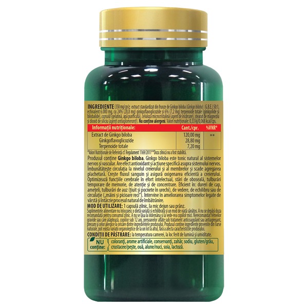 GINKGO MAX 120 mg – Memory and Concentration - Image 3