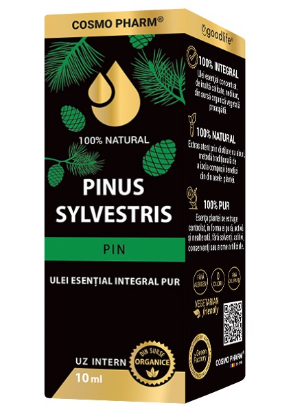 Pine Essential Oil – PINUS SYLVESTRIS - Image 3