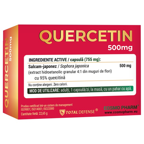 QUERCETIN 500 mg, Powerful Anti-Inflammatory, Natural Antioxidant - Image 3