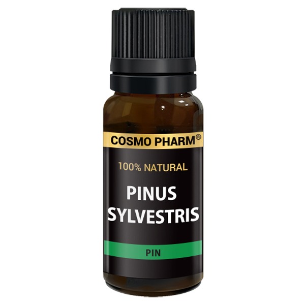 Pine Essential Oil – PINUS SYLVESTRIS - Image 2