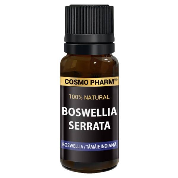 BOSWELLIA SERRATA: Indian Frankincense Essential Oil - Image 2