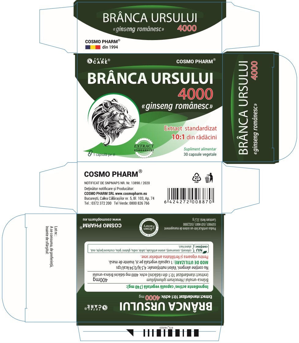 Bear's Garlic BRANCA URSULUI - Natural Aphrodisiac For Women And Men - Image 2