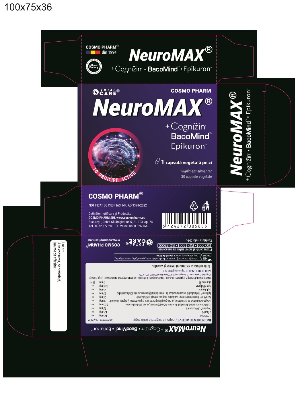 Neuromax + Cognizin® & BacoMind™️ for Memory, Focus and Brain Performance - Image 2