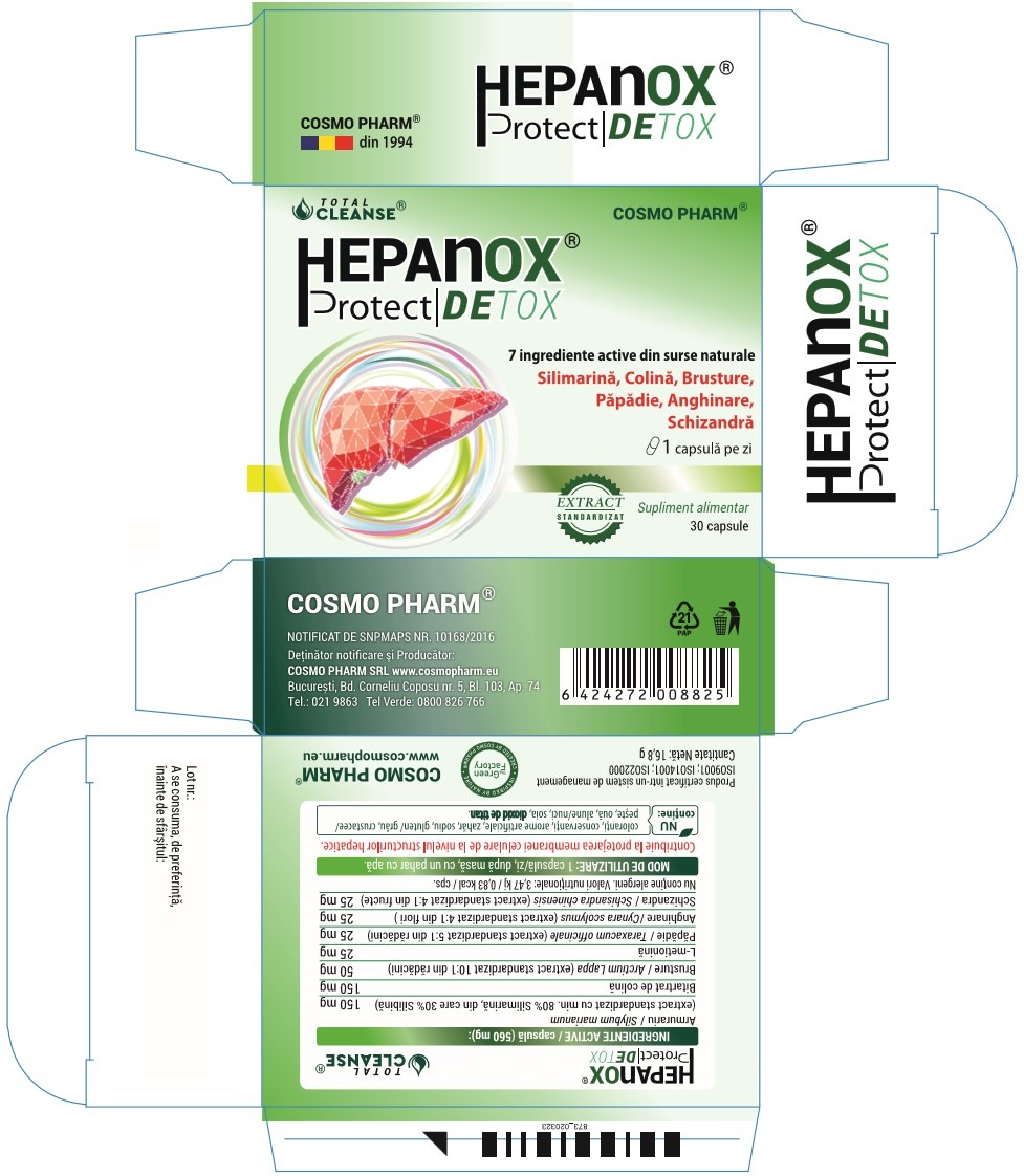 Hepanox Protect Detox - Liver Protection  - Natural Supplement - Image 2